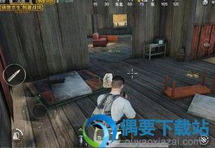 吃鸡最新爆料在哪找的,吃鸡最新爆料来源大揭秘！