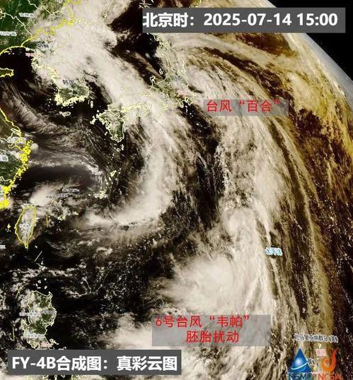 台风爆料最新情况新闻,揭秘“台风爆料”最新情况