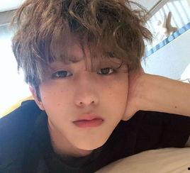 陈星旭娱乐爆料视频下载,揭秘娱乐圈幕后真相