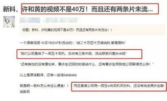 看爆料视频犯法吗,看爆料视频是否触犯法律？