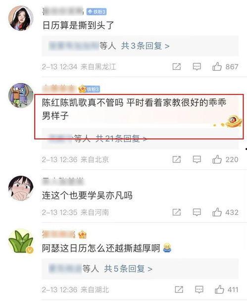 陈飞宇爆料者回应视频,揭秘背后真相与争议