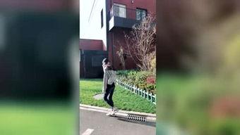 吃瓜神探全部免费观看,免费解锁悬疑世界，探秘真相之旅