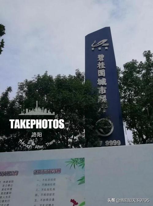 碧桂园房地产最新爆料视频,揭秘未来地产巨头的发展蓝图