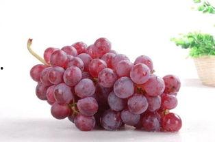 爆料网红提子新闻,揭秘背后真相与争议