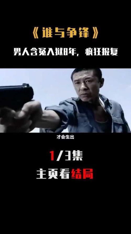 谁与争疯在线观看,揭秘网络迷因的疯狂魅力