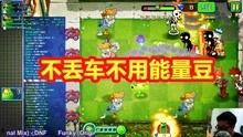 植物大战僵尸新爆料视频