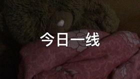 广东省今日一线爆料,揭秘热点事件背后真相